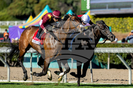 Santa Anita Horse Racing