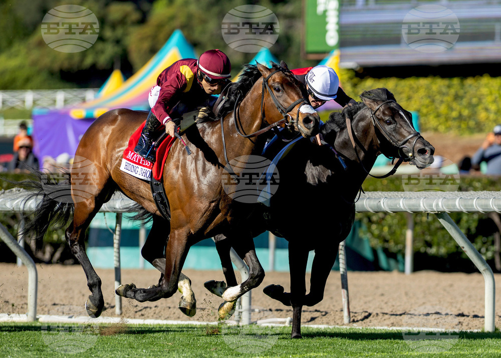 Santa Anita Horse Racing