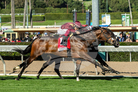 Santa Anita Horse Racing