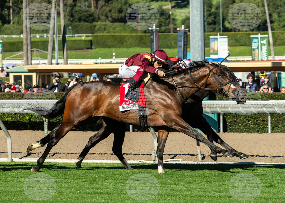Santa Anita Horse Racing