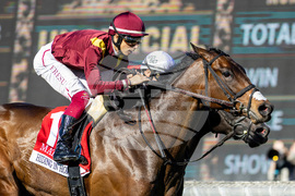 Santa Anita Horse Racing