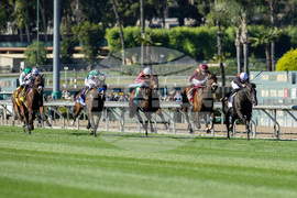 Santa Anita Horse Racing