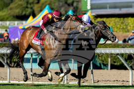 Santa Anita Horse Racing