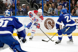 Canadiens Lightning Hockey