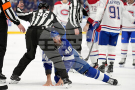 Canadiens Lightning Hockey