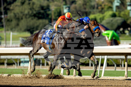 Santa Anita Horse Racing