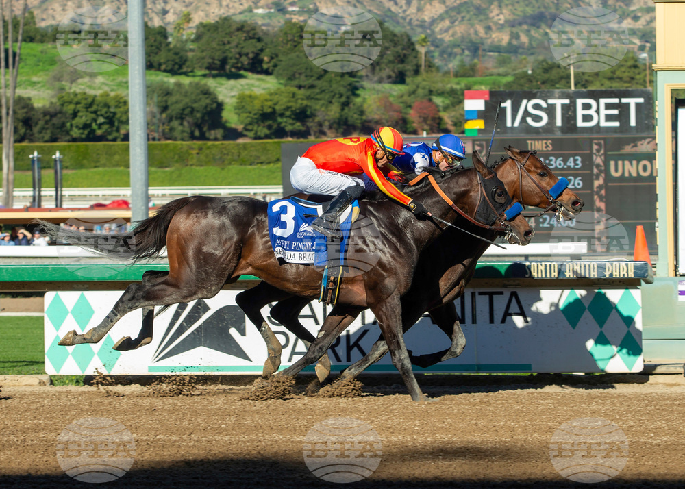 Santa Anita Horse Racing