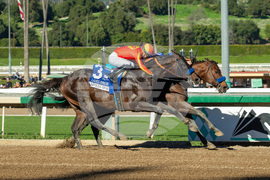 Santa Anita Horse Racing