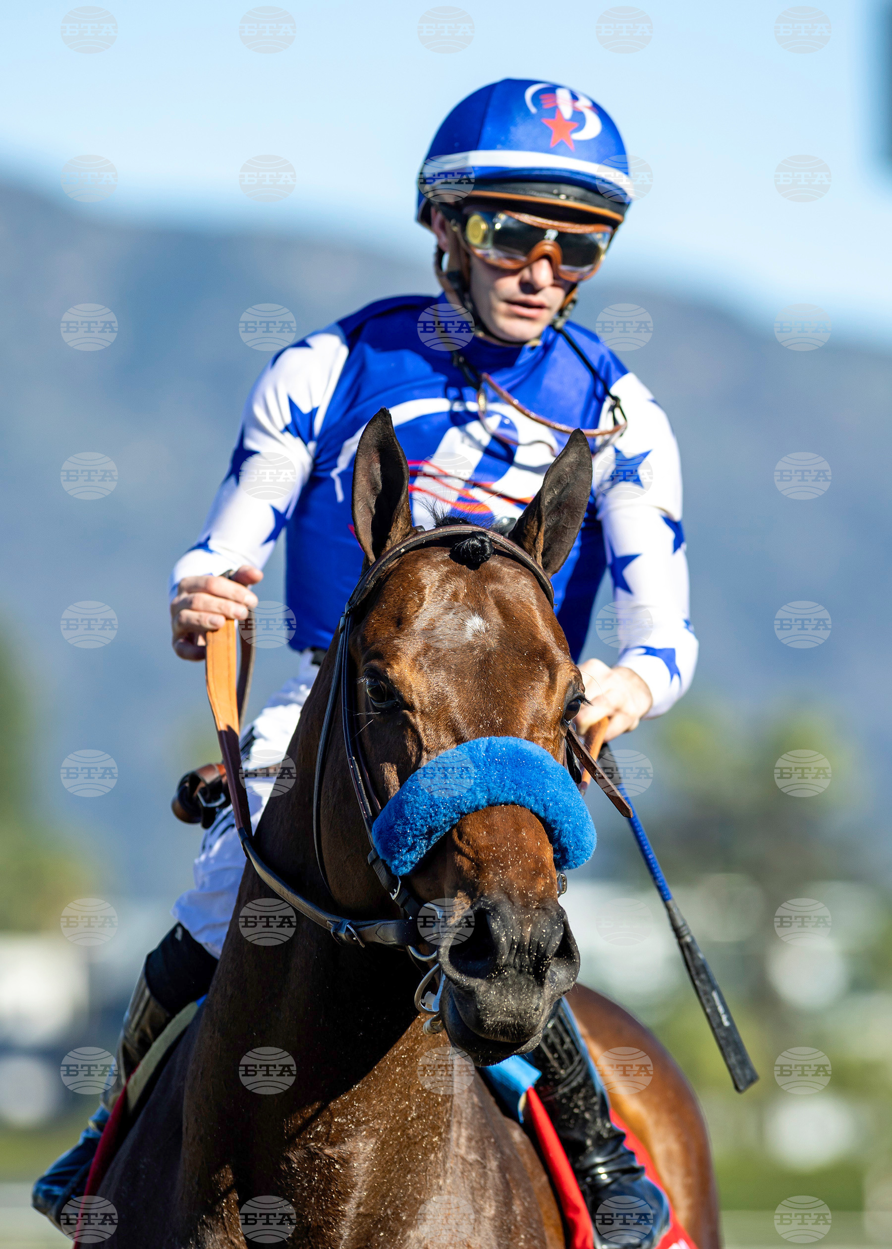 Santa Anita Horse Racing