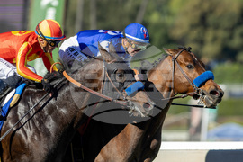 Santa Anita Horse Racing