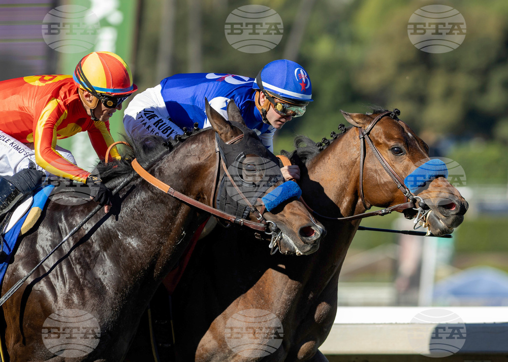 Santa Anita Horse Racing