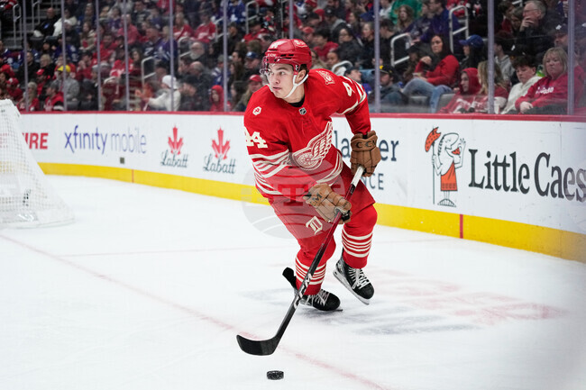 Maple Leafs Red Wings Hockey