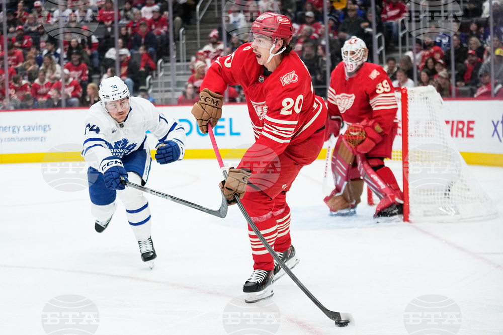 Maple Leafs Red Wings Hockey