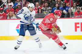 Maple Leafs Red Wings Hockey