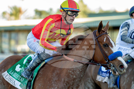 Santa Anita Horse Racing