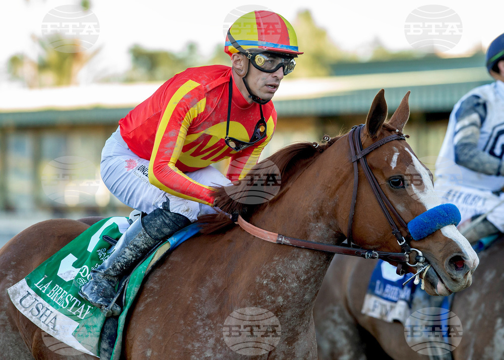 Santa Anita Horse Racing