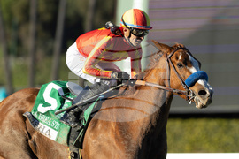 Santa Anita Horse Racing