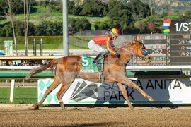 Santa Anita Horse Racing