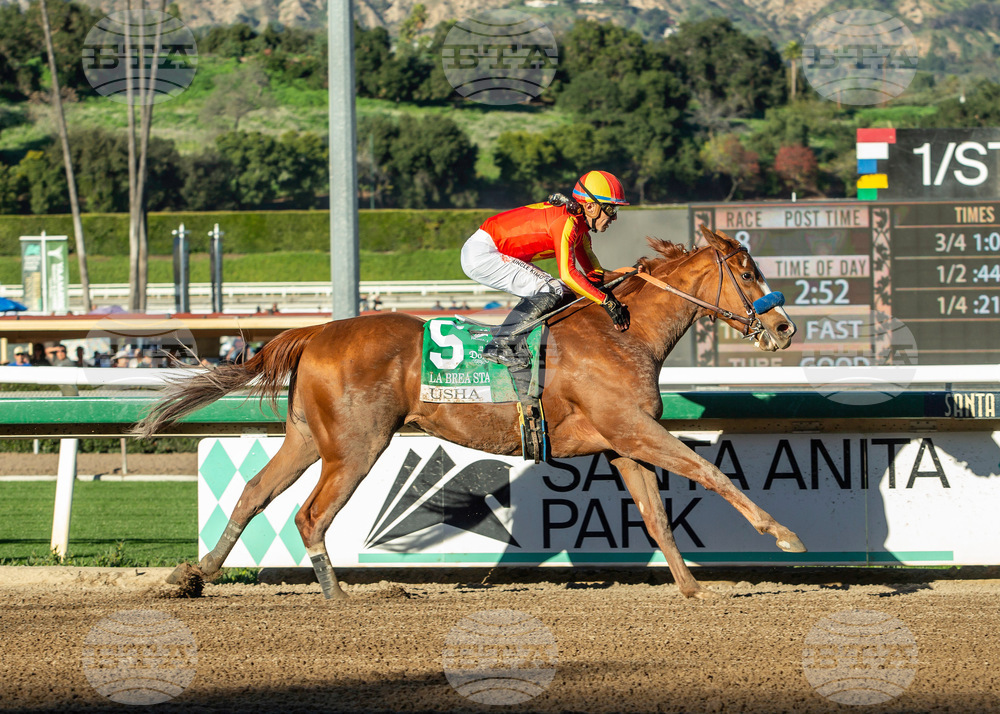 Santa Anita Horse Racing