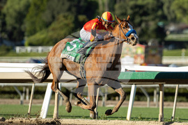 Santa Anita Horse Racing