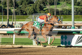 Santa Anita Horse Racing