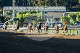 Santa Anita Horse Racing