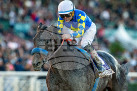 Santa Anita Horse Racing