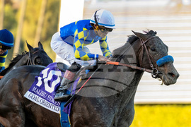 Santa Anita Horse Racing