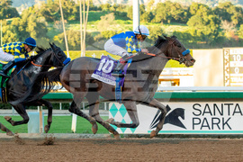 Santa Anita Horse Racing