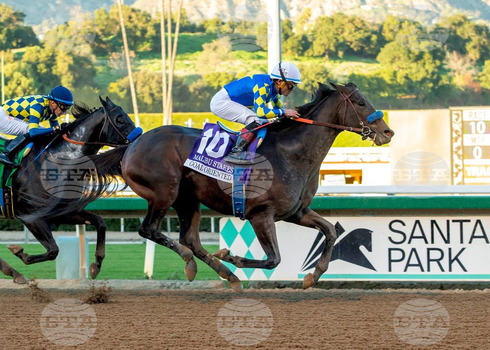 Santa Anita Horse Racing