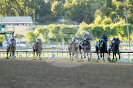 Santa Anita Horse Racing