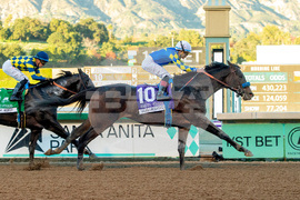 Santa Anita Horse Racing