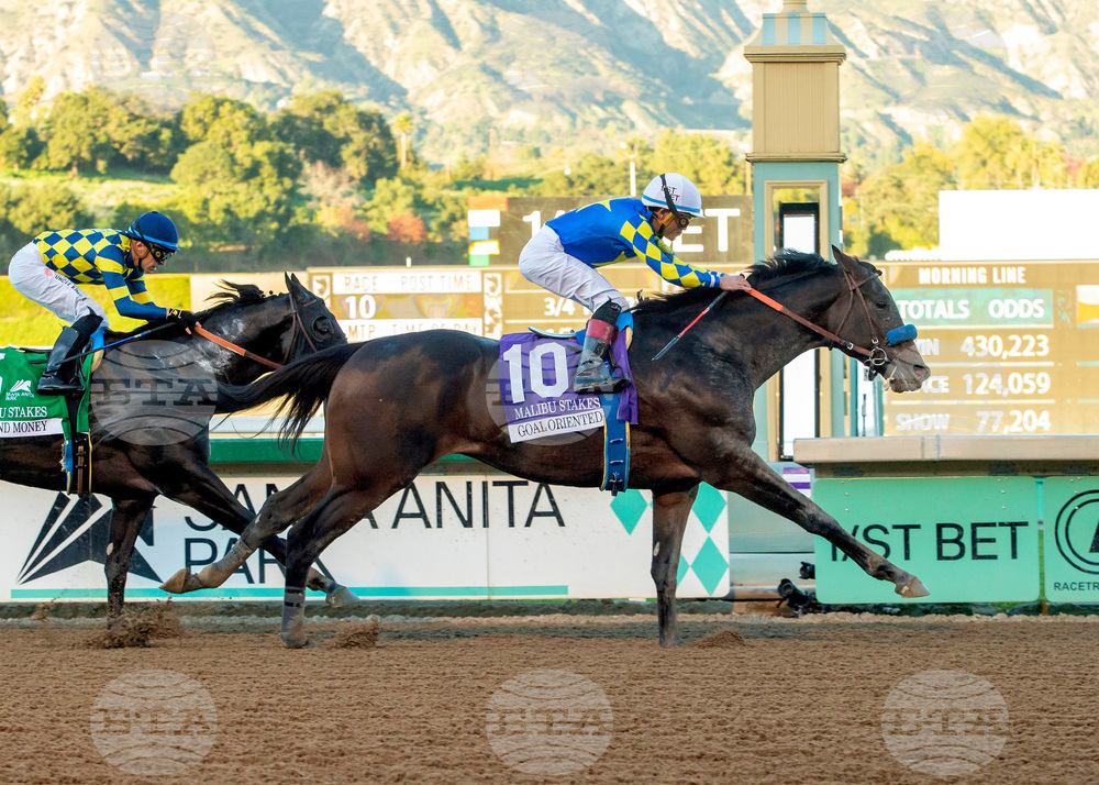 Santa Anita Horse Racing