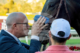 Santa Anita Horse Racing