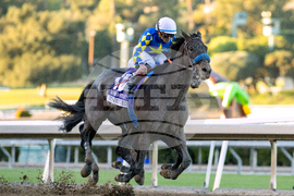 Santa Anita Horse Racing