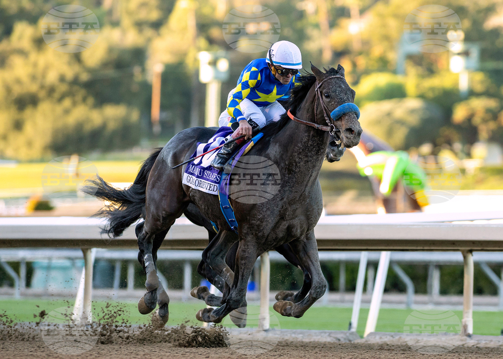 Santa Anita Horse Racing