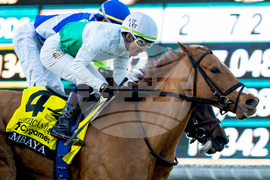 Santa Anita Horse Racing