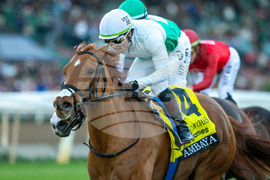 Santa Anita Horse Racing