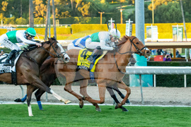 Santa Anita Horse Racing