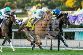 Santa Anita Horse Racing