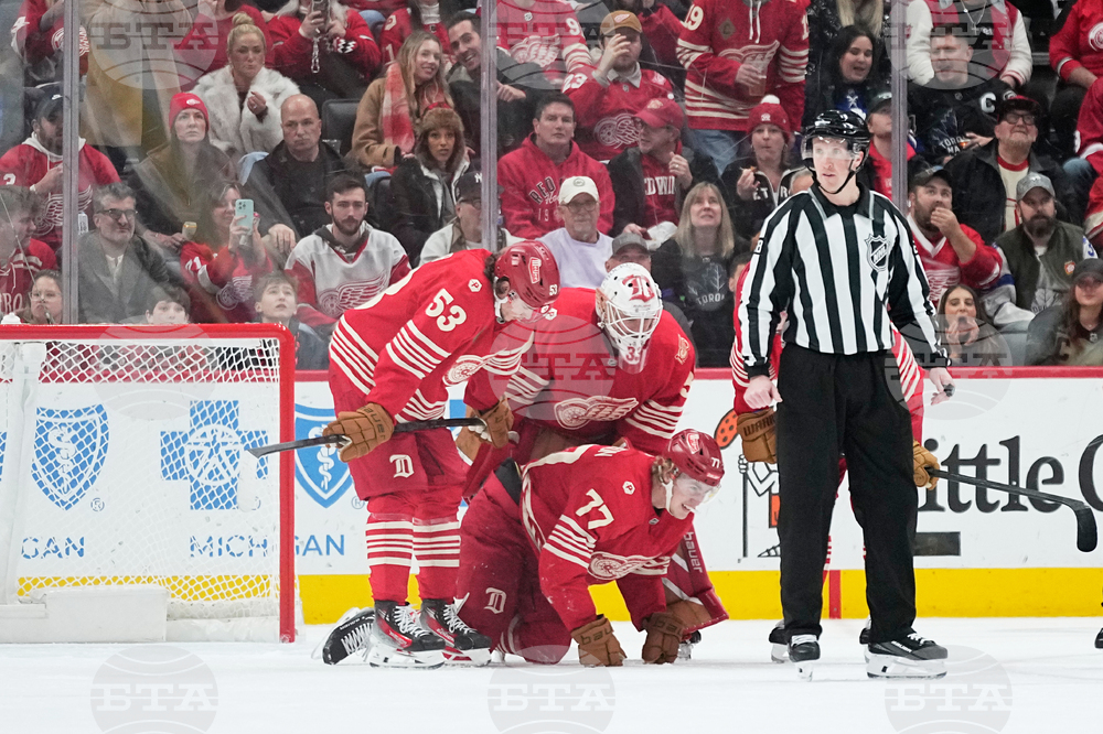 Maple Leafs Red Wings Hockey