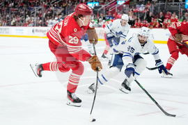 Maple Leafs Red Wings Hockey