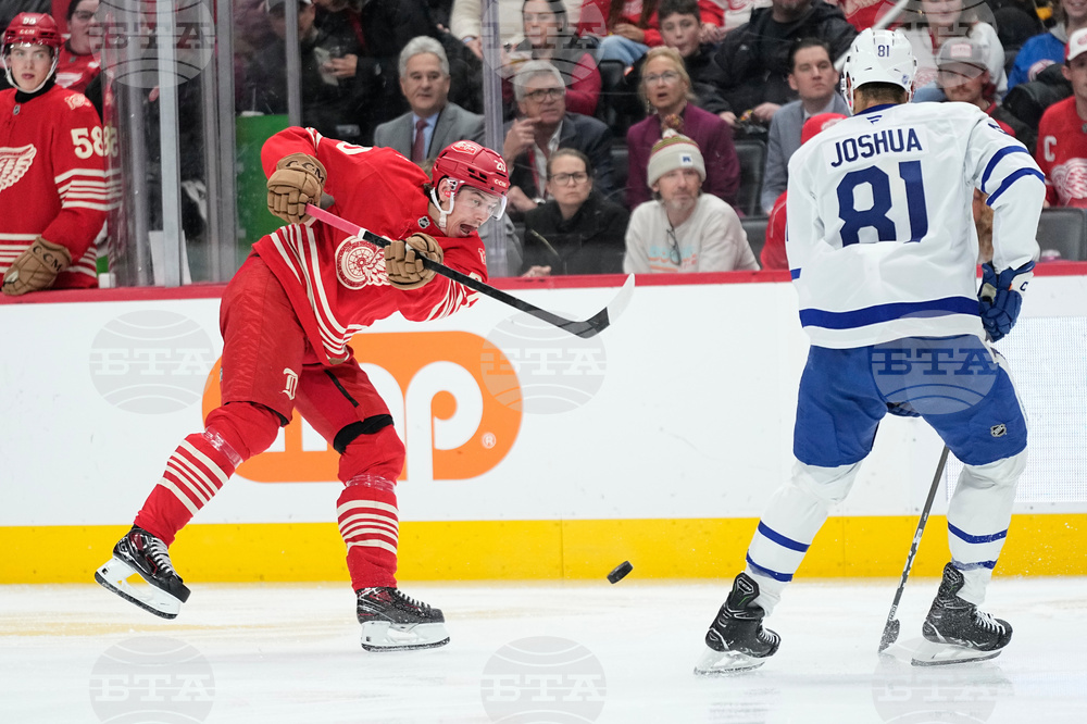 Maple Leafs Red Wings Hockey