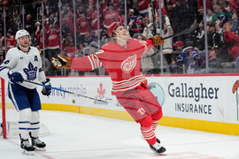 Maple Leafs Red Wings Hockey