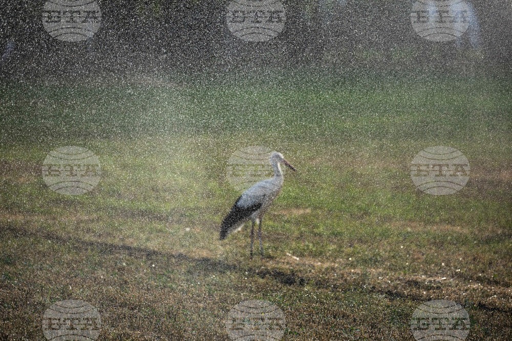 Climate Hungary Desertification