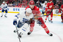 Maple Leafs Red Wings Hockey