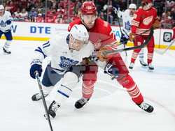 Maple Leafs Red Wings Hockey