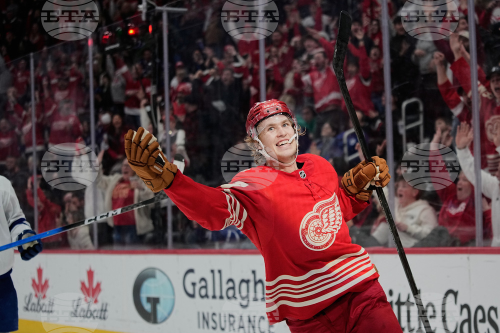 Maple Leafs Red Wings Hockey