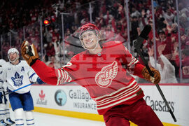 Maple Leafs Red Wings Hockey