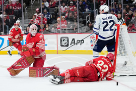 Maple Leafs Red Wings Hockey